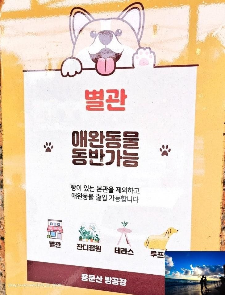용문산 애견동반 카페 빵공장 추천메뉴 주차 후기