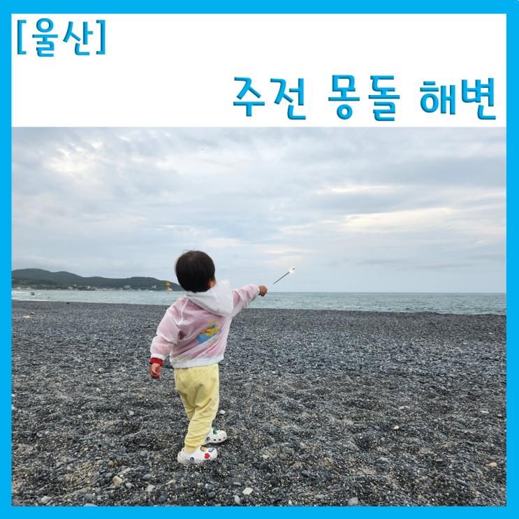 울산 아이랑 캠핑 - 우리의 사랑, 주전 몽돌 해변