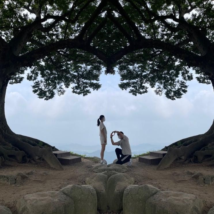 부여여행] 아이들과 부여사랑나무를 찾아서♬ (feat. 성흥산성...
