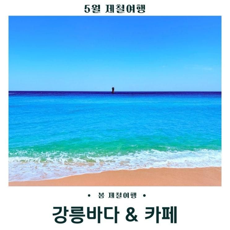 강릉바다 카페 가볼만한 곳 경포해변 테라로사 사천점 사천해변