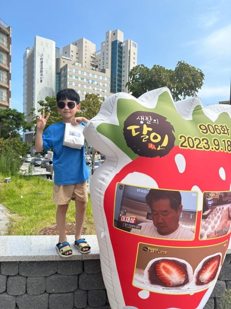 속초 설악 딸기모찌 아이들의 원픽으로 1년만에 재방문