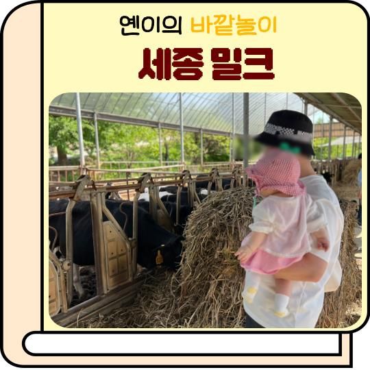 [세종 아기랑] 7개월 아이 가볼 만한 곳 - 젖소 구경 밀크