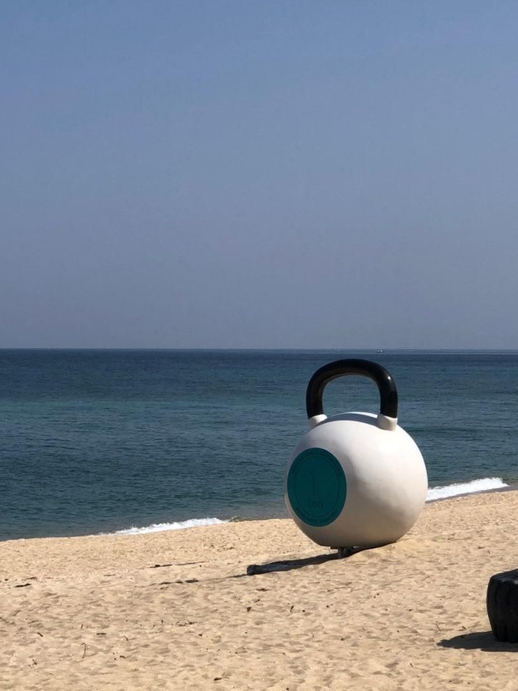 강릉 머슬비치 강문해변 링 타러 가기 / 위치, 주차, 입장료