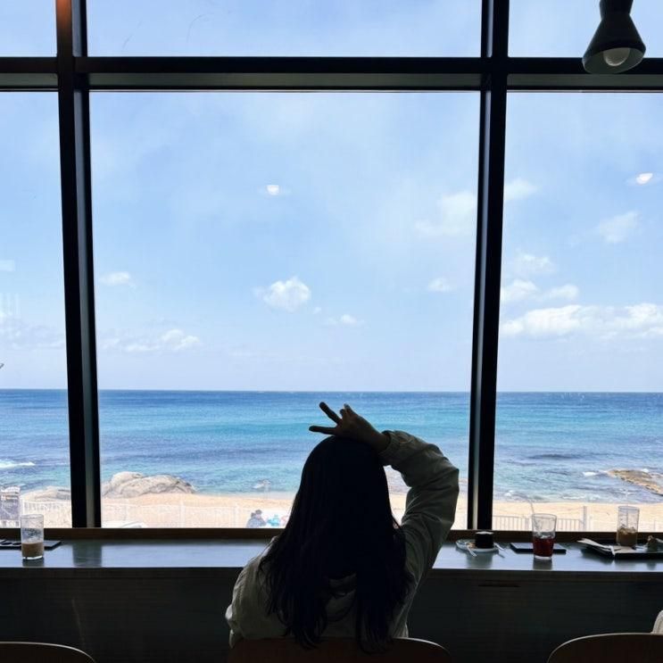 속초 장사항 오션뷰카페 카페람 내돈내산 후기