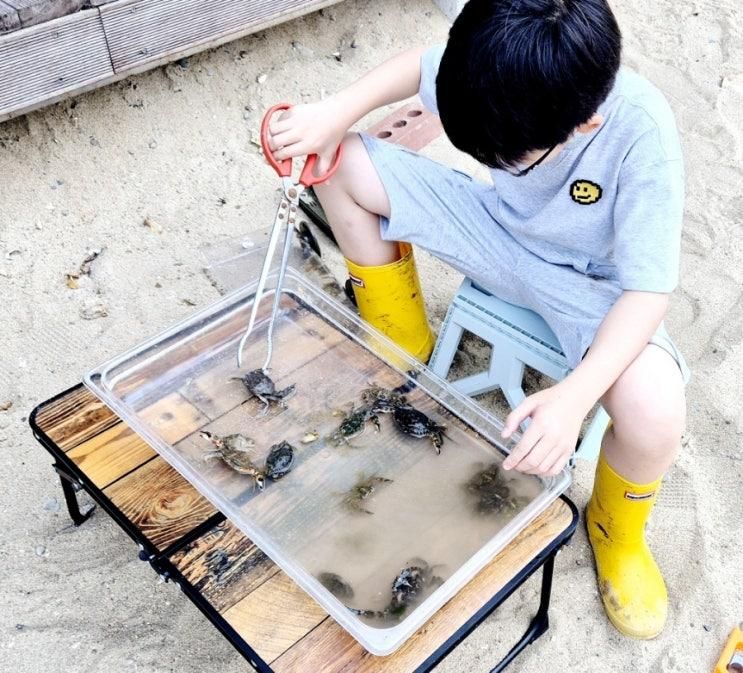 영흥도 십리포 해수욕장 물놀이장 오픈했네요
