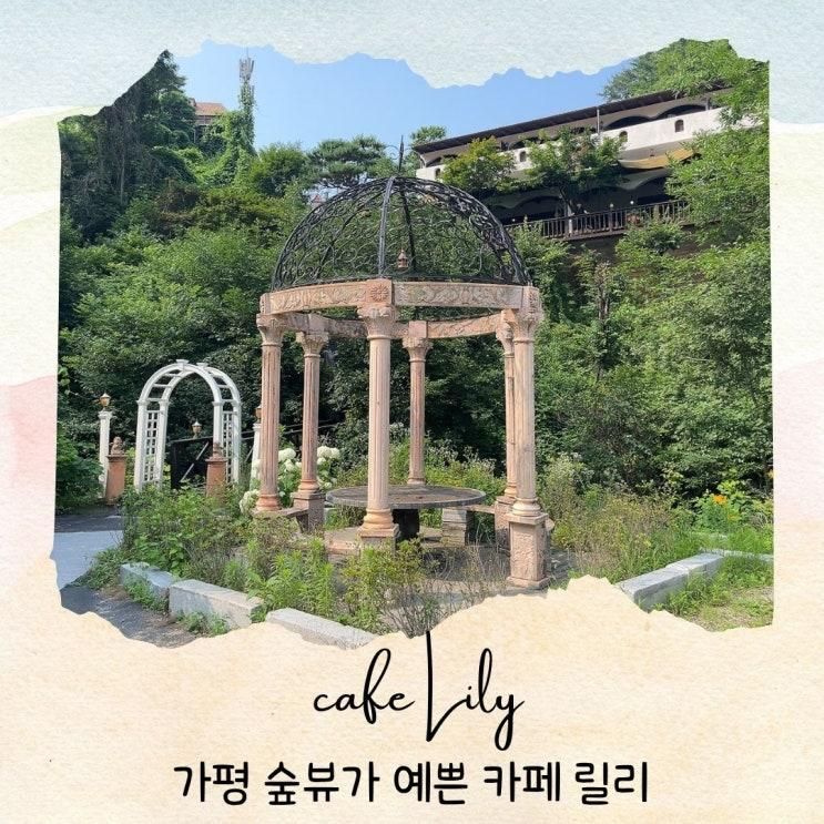 가평 '릴리' 초록이 가득한 숲뷰가 예쁜 카페(애견실내동반가능)