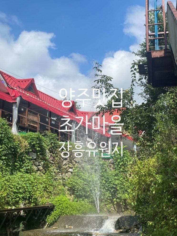 (양주 맛집) 장흥계곡 식당 초가마을, 아기랑 물놀이
