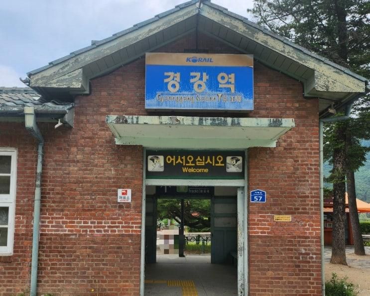 강촌레일파크  경강레일바이크  내돈내산!!!