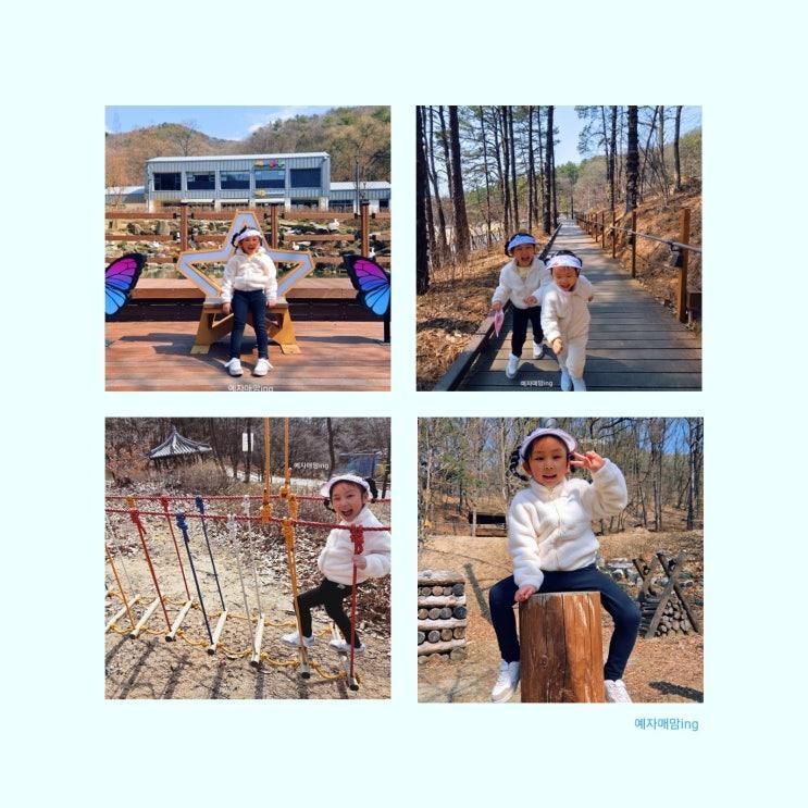 아이들과 천안 봄나들이|태조산산림레포츠시설| 어린이숲모험...