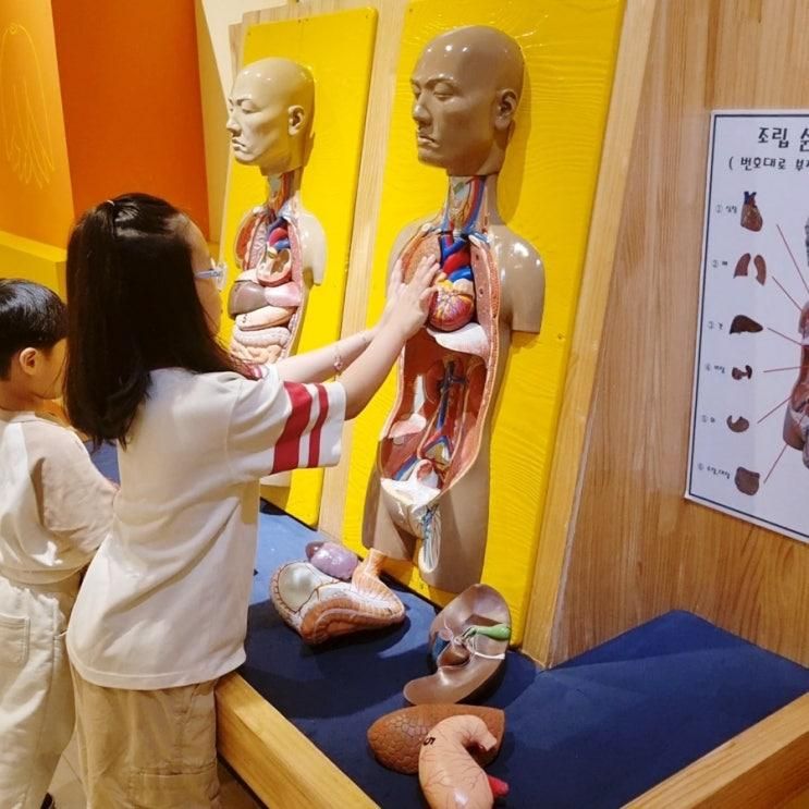 꼬마 한의사가 되어보는 시간, 한방체험 나들이 허준박물관