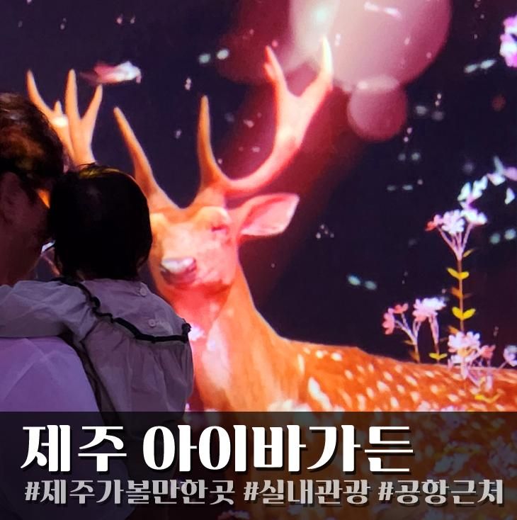 제주가볼만한곳 공항근처 실내관광지 아이바가든
