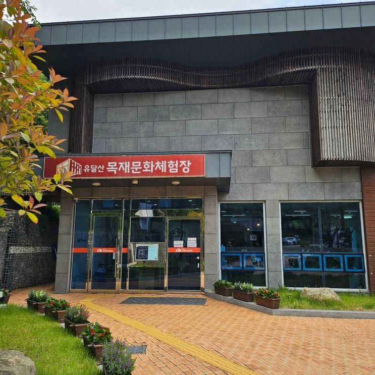 목포 유달산 목재문화체험장 - 아이와 함께한 자연 속 목공 체험