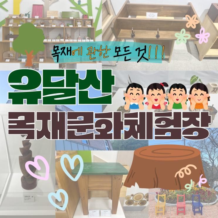 [유달산목재문화체험장] 아이부터 어른까지, 목공 체험의 모든 것!