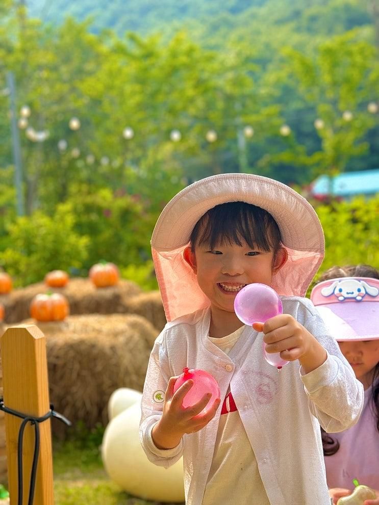 공주 파크오브드림 드림동 글램핑 아이랑 체험 더팜키즈