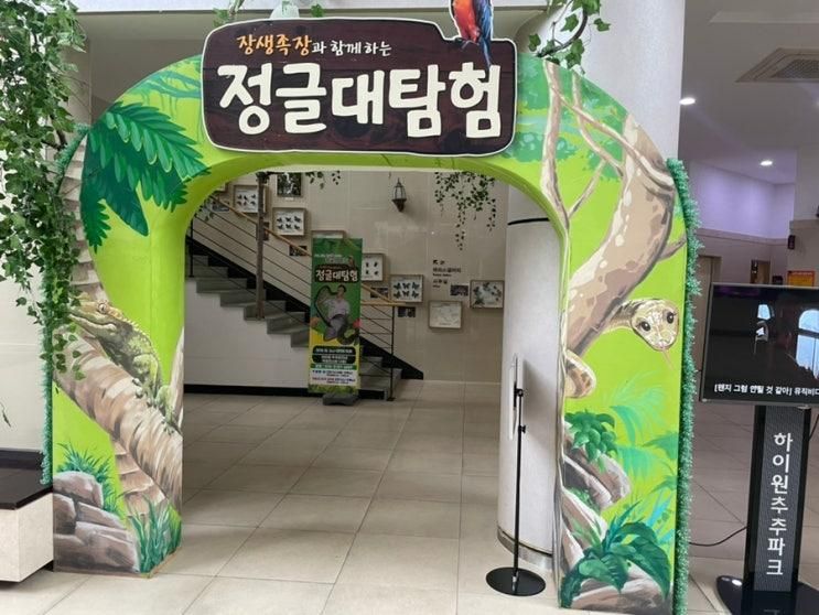 정글대탐험  하이원 추추파크점 / 실내 체험형 미니 동물원