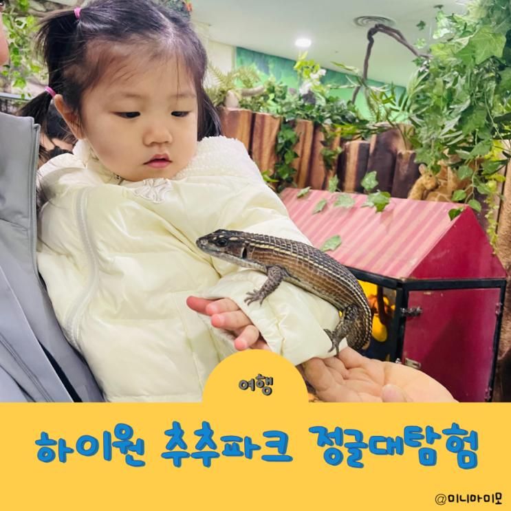 아기랑 갈만한 곳 삼척 정글대탐험 하이원추추파크점