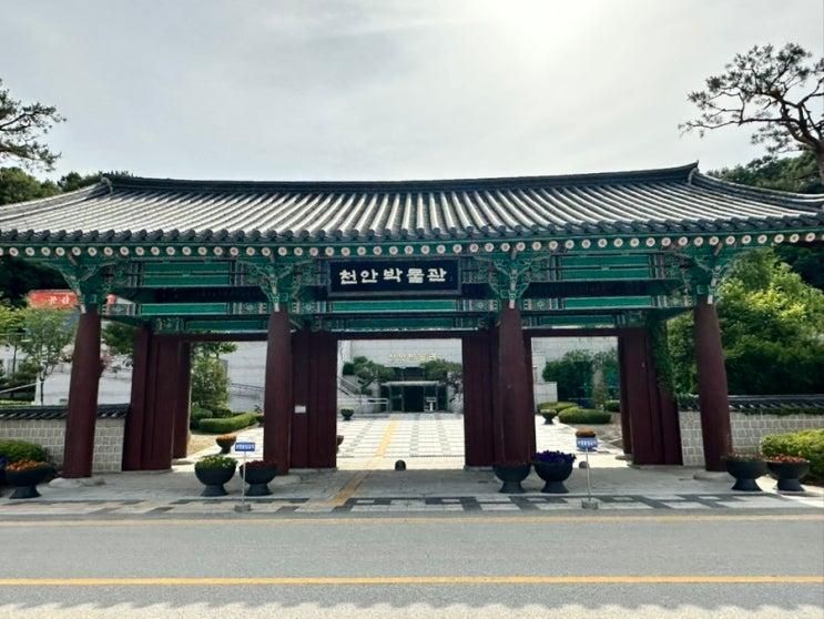 천안아산 아이랑 가볼만한곳 천안박물관 어린이박물관...