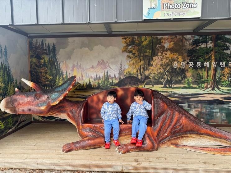 용평리조트, 순수양떼목장, 알펜시아리조트,용평공룡해양랜드