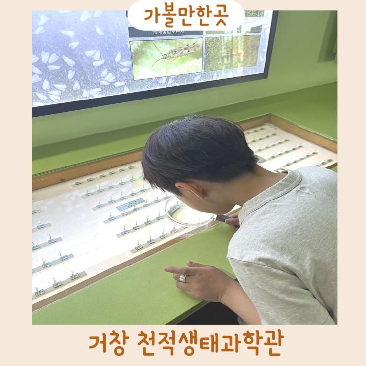 거창 아이랑가볼만한곳 천적생태과학관