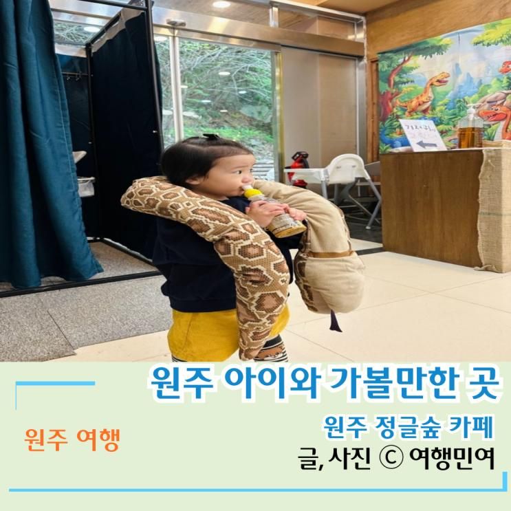 원주 아이와 함께 갈만한 곳 원주 정글숲 카페
