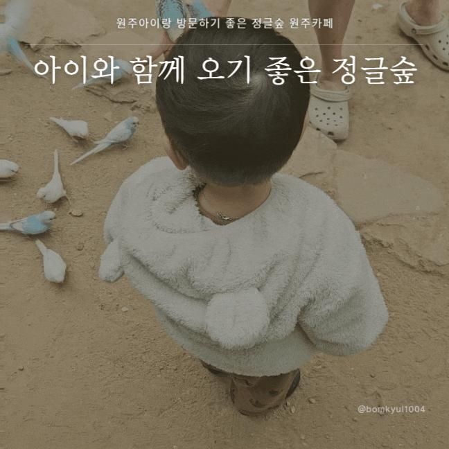 원주 아이랑 방문하기 좋은 정글숲 원주카페