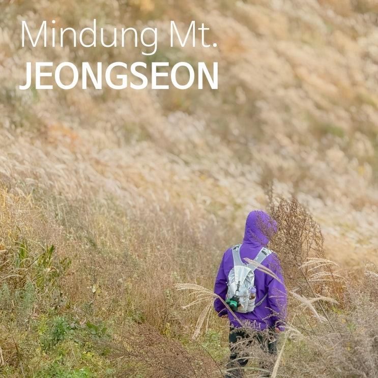 정선 민둥산 등산코스 2코스 시간 능전마을 밭구덕 돌리네 억새꽃