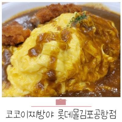 롯데몰 맛집 :: 아이와 먹기좋은 카레맛집 ' 코코이찌방야 '