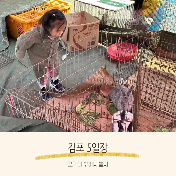 김포 5일장 주차 날짜 먹거리 김포 아이랑 가볼만한 곳