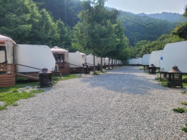강원도 원주 피노키오숲 아이와 함께한 가족 1박2일 카라반 여행