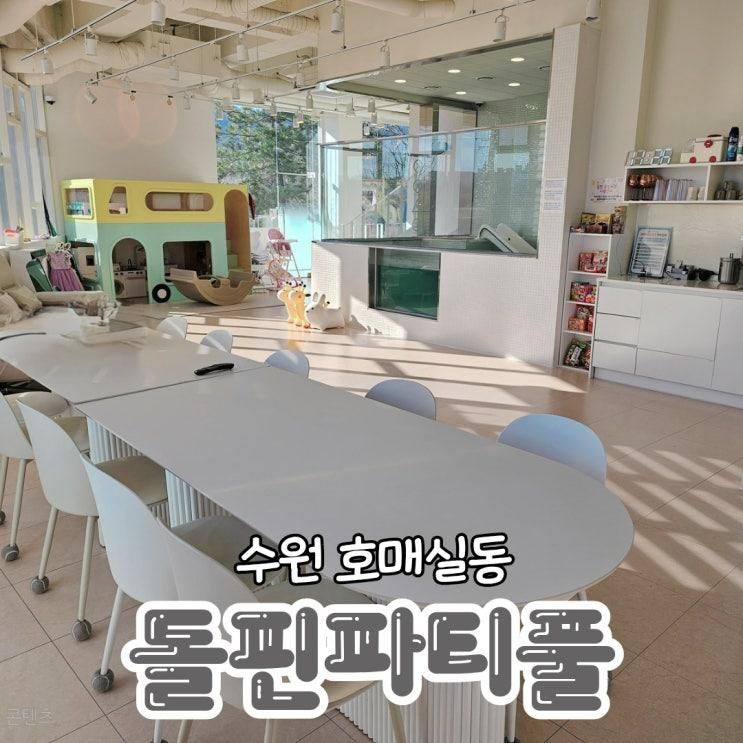 아이들이랑 주말에 놀기 너무 좋은 '돌핀파티풀 워터룸 키즈풀'