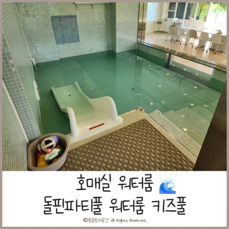 [호매실워터룸] 돌핀파티풀 워터룸 키즈풀 ㅣ 호매실...