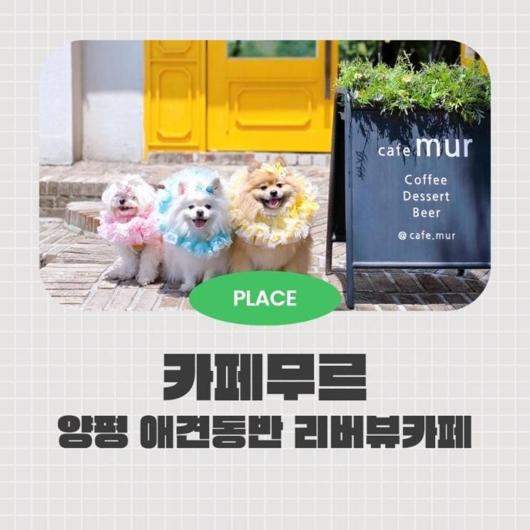 양평 애견동반카페 북한강 리버뷰 카페무르