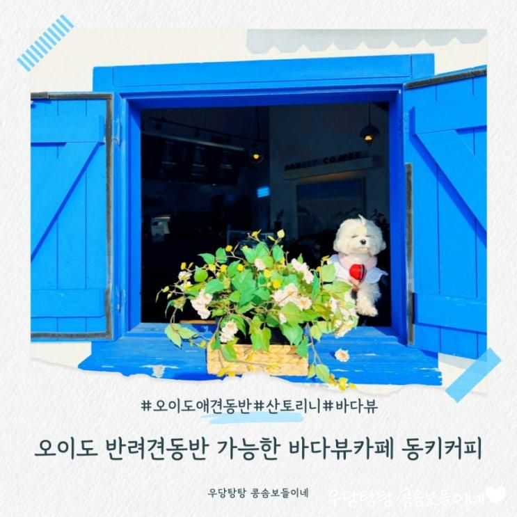 오이도 애견동반 가능한 바다뷰카페 동키커피