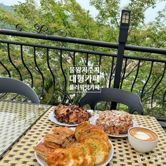 베이커리 대형 카페 아기랑 애견동반가능 플라워팟카페