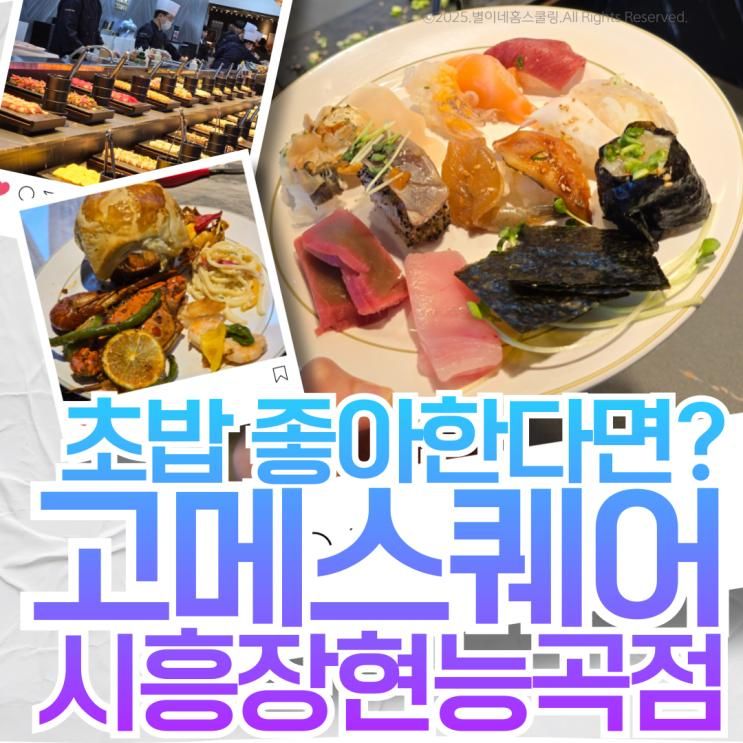 고메스퀘어 시흥장현능곡점, 1주 만에 다시 간 이야기(시흥뷔...