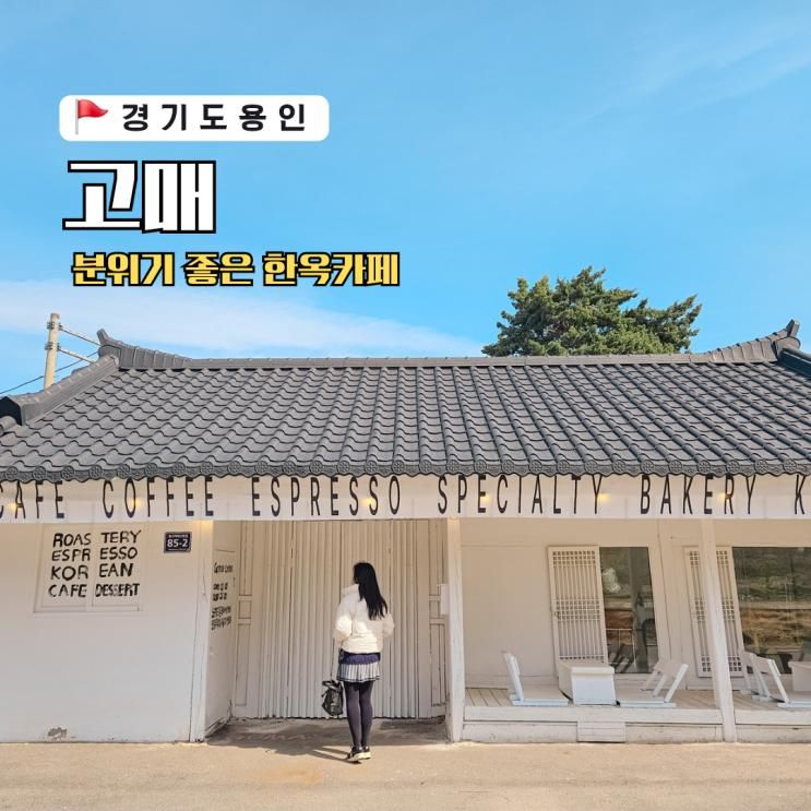 용인 대형카페 한옥리뉴얼 신상 동탄맛집 고매커피