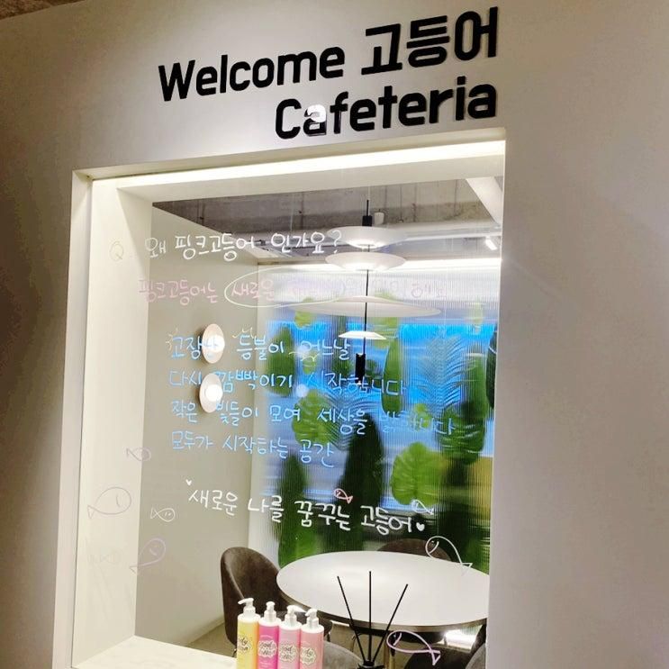 [양주|고읍] 공간 대여/소품샵 '핑크고등어' 방문기
