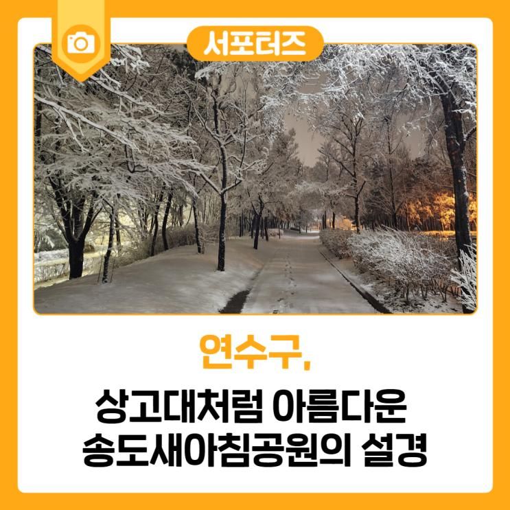 상고대처럼 아름다운 송도새아침공원의 설경