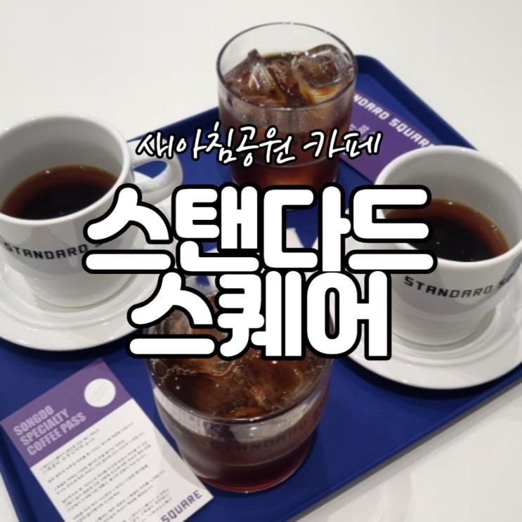 새아침공원 카페 스탠다드 스퀘어 스페셜티 후기