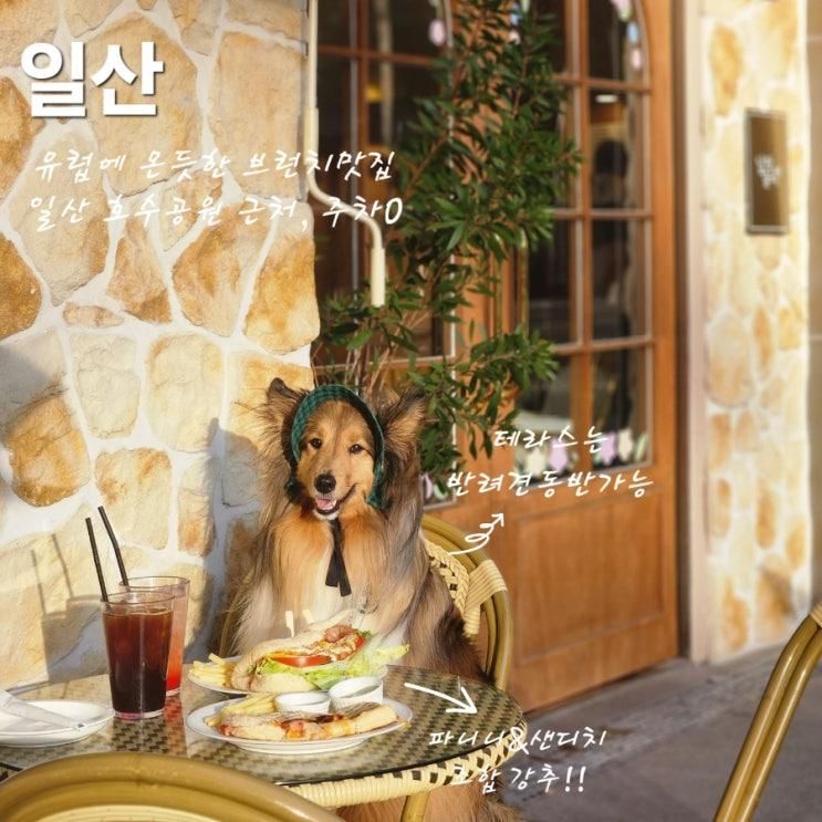 고양시 일산 호수공원 브런치 납작슬리퍼, 애견동반...