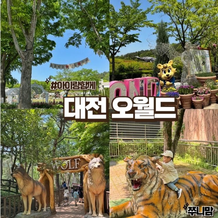대전 오월드 버드랜드 동물원 아이랑 가볼만한 곳