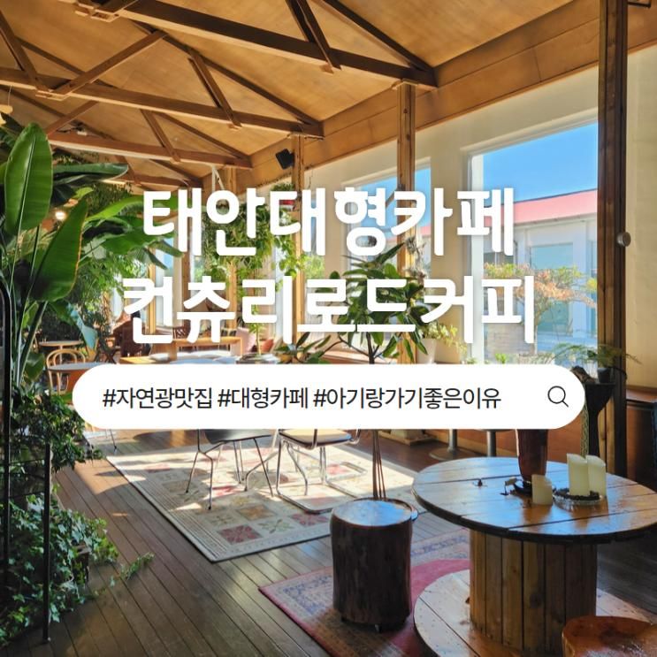 태안 대형카페 컨츄리로드커피 아기랑 평상이 있는 자연광 카페