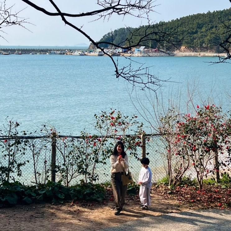천리포수목원 아이랑 태안 가볼만한곳