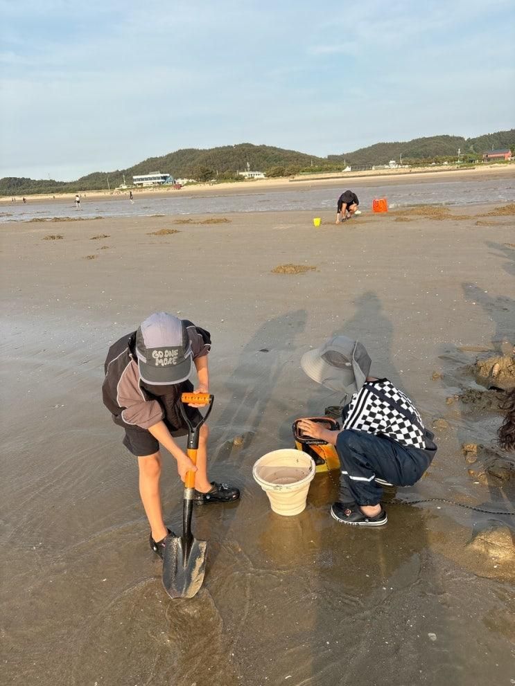 [태안]아이들과 함께한 신두리해수욕장 갯벌 체험 가족여행