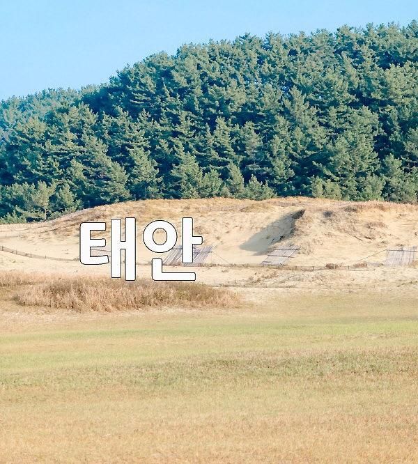 아이와가볼만한곳 태안 신두리 해안 사구 사막 신두리 해수욕장