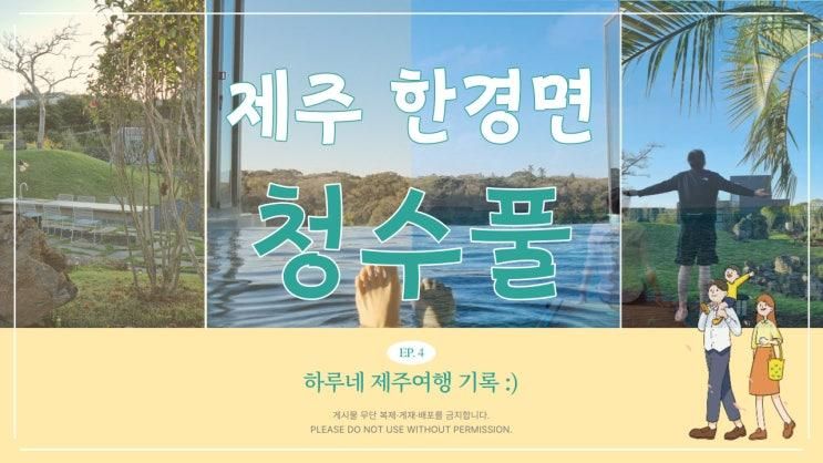 [아기랑 제주 l 청수풀] 뱅앤올룹슨·다이슨·스탠바이미...