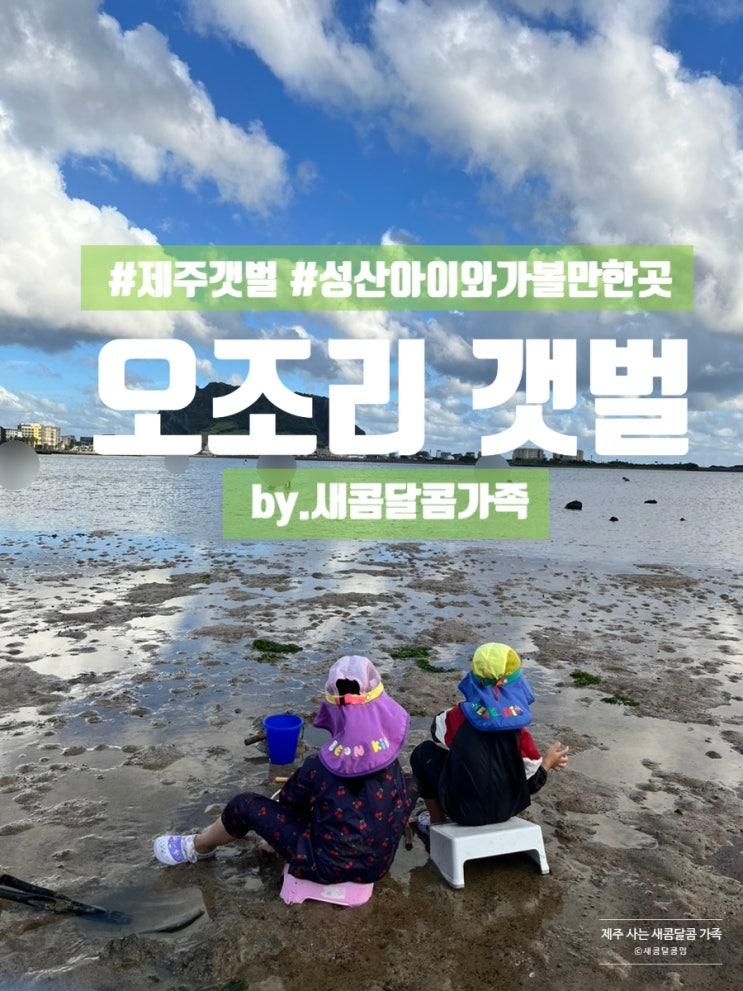 【오조리 갯벌】 제주의 갯벌 성산 오조리 아이들과 가볼 만한 곳