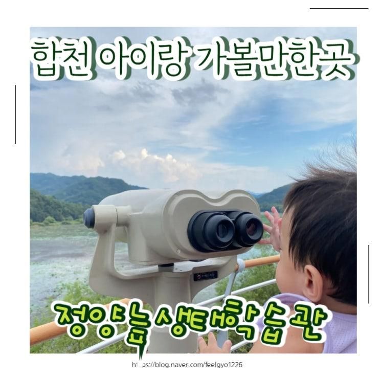 합천 아이랑 가볼만한곳 정양늪생태학습관