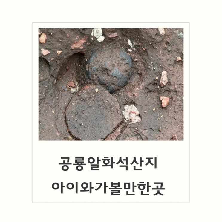 화성 공룡알 화석산지 : 아이와 가볼 만한 곳
