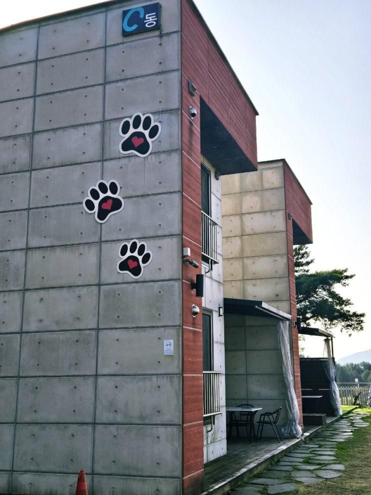 반려견과 아이들 모두 만족한  거제펜션 쏠베르펜션 솔직 후기